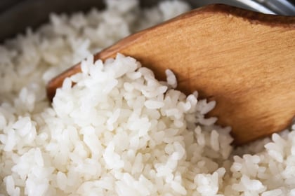 Rice recipes for kids