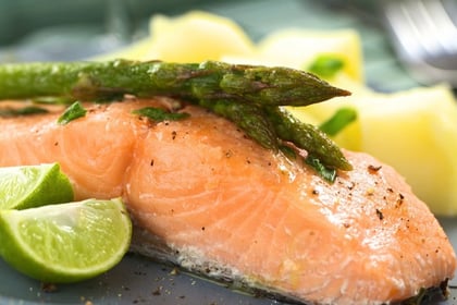 Salmon recipes for kids